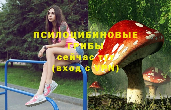 таблы Пересвет