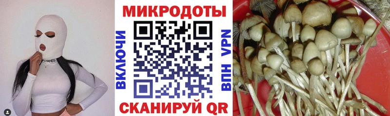 omg ONION  Новосибирск  Псилоцибиновые грибы ЛСД 