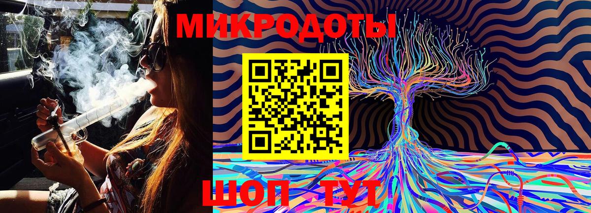 Галлюциногенные грибы Psilocybine cubensis Новосибирск